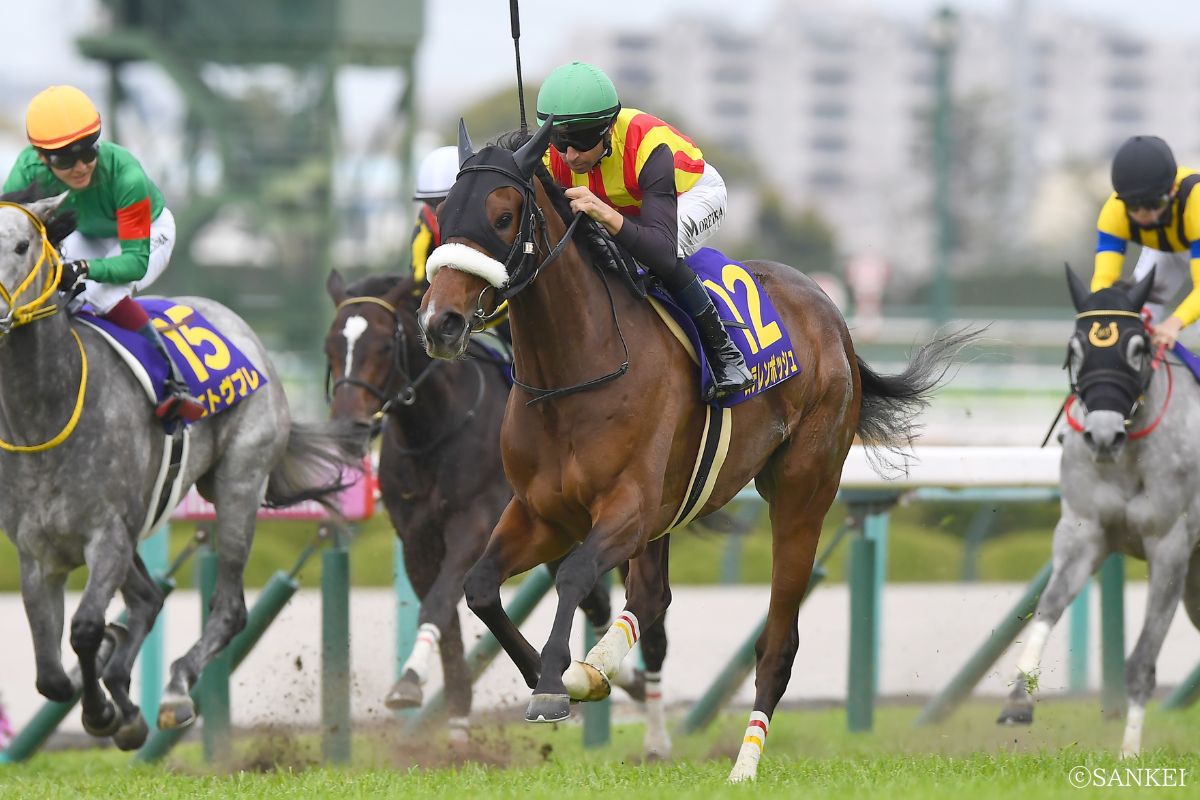 2024年桜花賞を制した時のステレンボッシュ