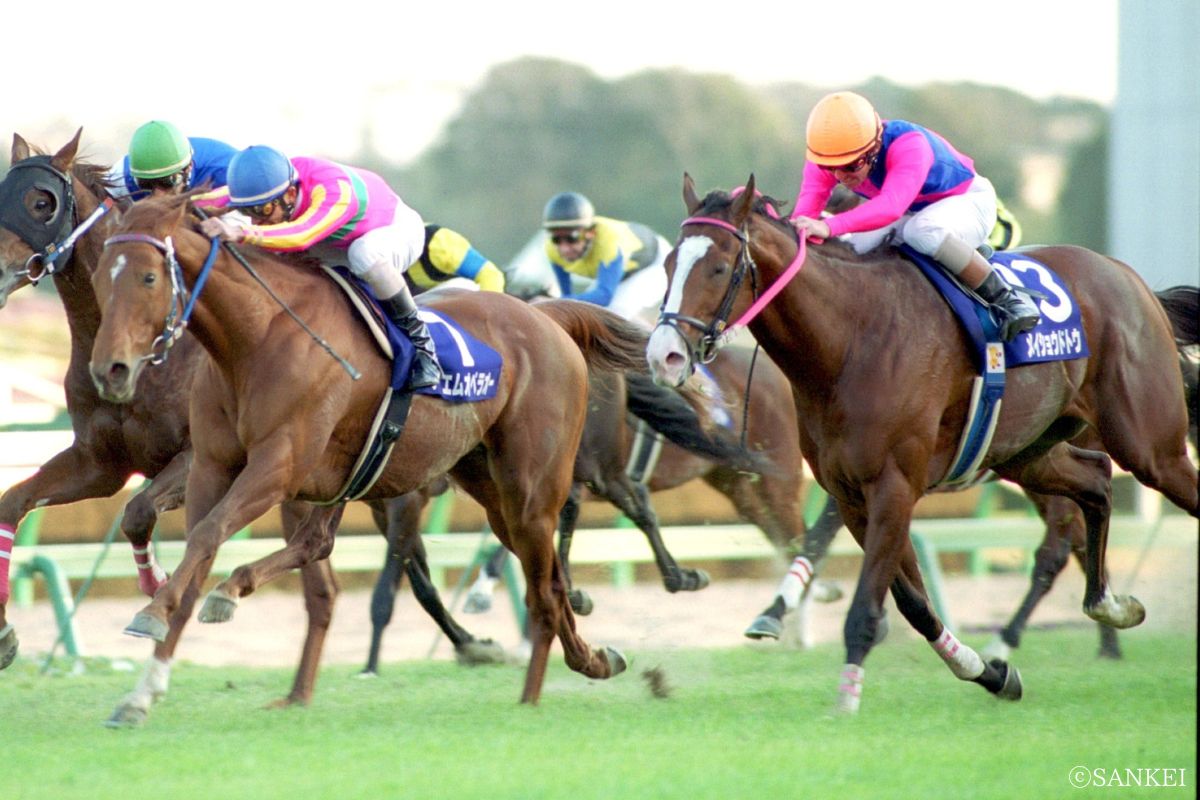 2000年有馬記念（写真左テイエムオペラオー、右メイショウドトウ）