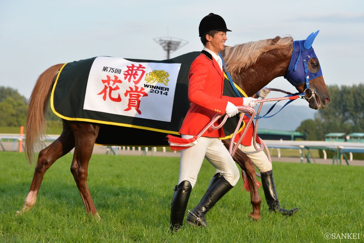 2014年菊花賞を制した時のトーホウジャッカル