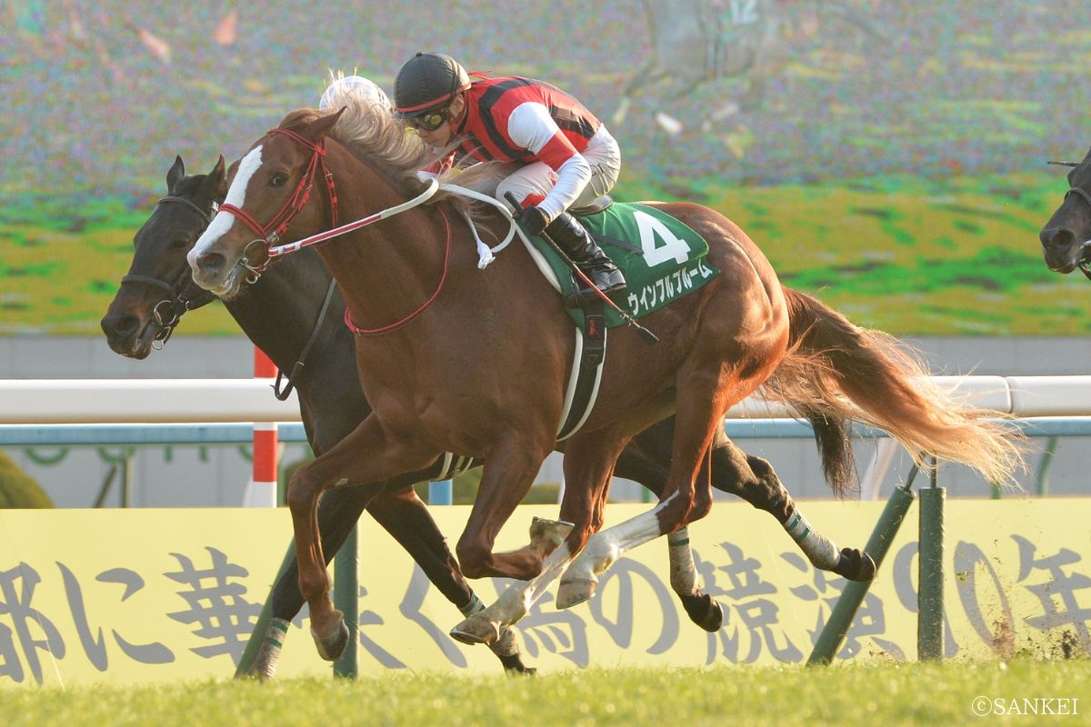 2015年京都金杯を制した時のウインフルブルーム