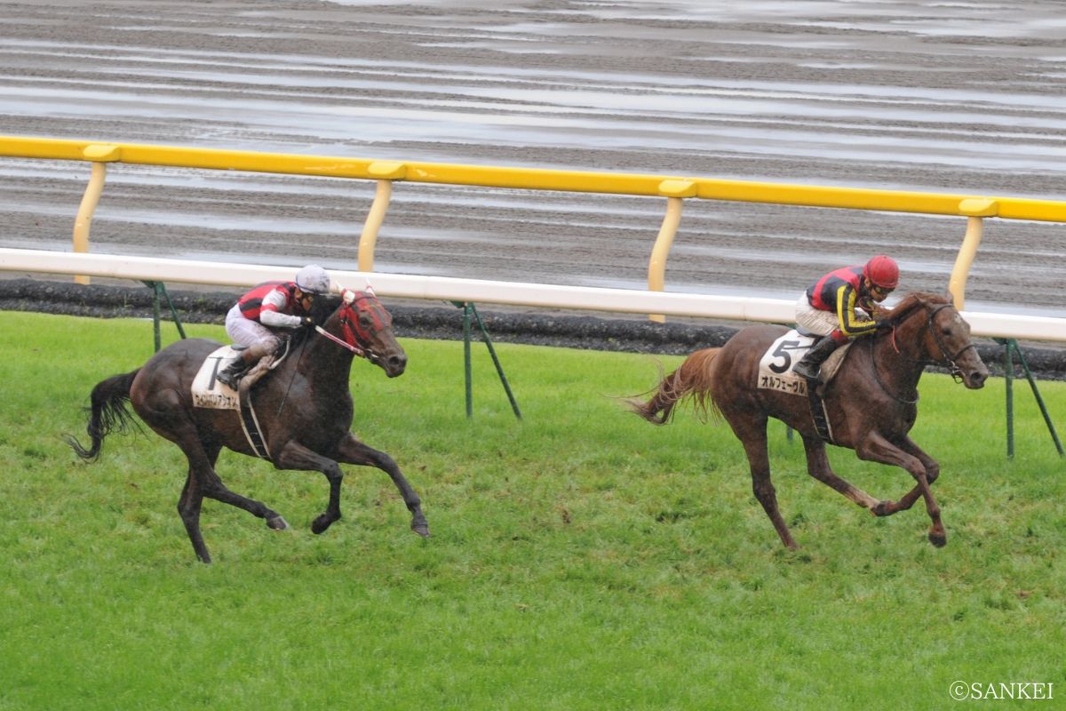 2011年日本ダービー（写真左ウインバリアシオン、右オルフェーヴル）