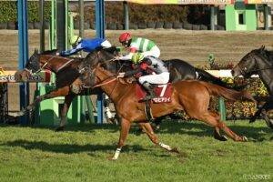 悲願達成を託したい！凱旋門賞V狙える日本馬（4）ヨーロッパの馬場適性は証明済み！ルメールが母国で初戴冠へ