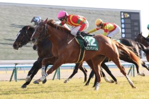 悲願達成を託したい！凱旋門賞V狙える日本馬（1）フォワ賞から凱旋門賞へ…鬼のスタミナだが馬場適性は？
