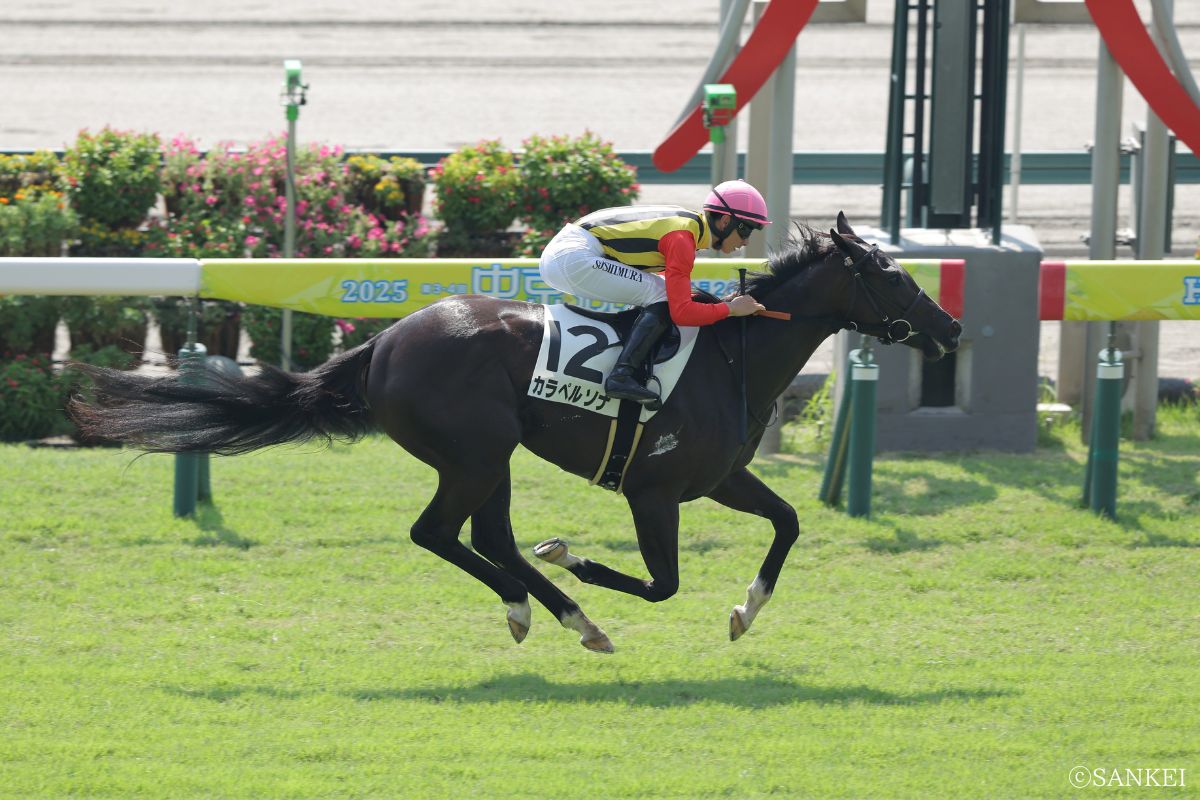 2025年8月30日未勝利戦を制したカラペルソナ