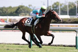 【東大流・次世代スター発掘】鮮烈5馬身差勝ちカヴァレリッツォに★5　「当コース新馬史上最速タイムでラスト11.5-11.1」