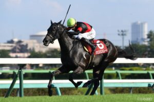 GII 紫苑ステークスの傾向【過去の結果 – 2000年以降 ｜ 重賞データ 】