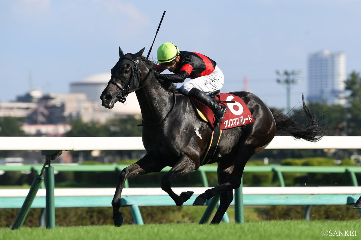 2024年紫苑Sを制したクリスマスパレード