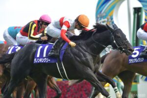 【今週の新馬戦】シャンデリュイーズがデビュー！ダノンキングリー産駒の初勝利なるか…