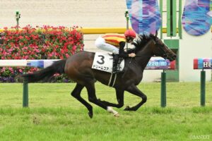 【WIN5研究所】本線24点、1レース目はドリームコアの一点勝負！メインは有力勢を中心に…