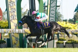 【GⅠトレンドハンター 菊花賞】「決して瞬発力勝負にはならない？」今年のメンバーで持続力があるのは…