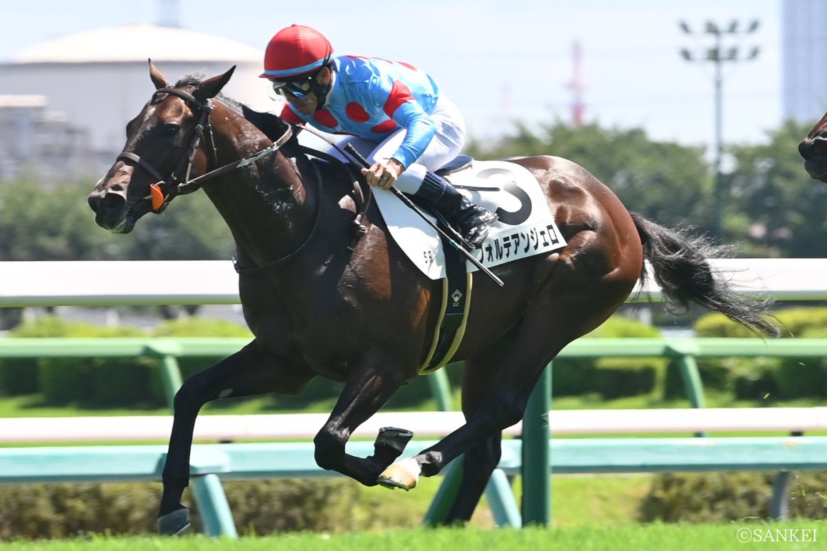 2025年9月7日2歳新馬を制したフォルテアンジェロ
