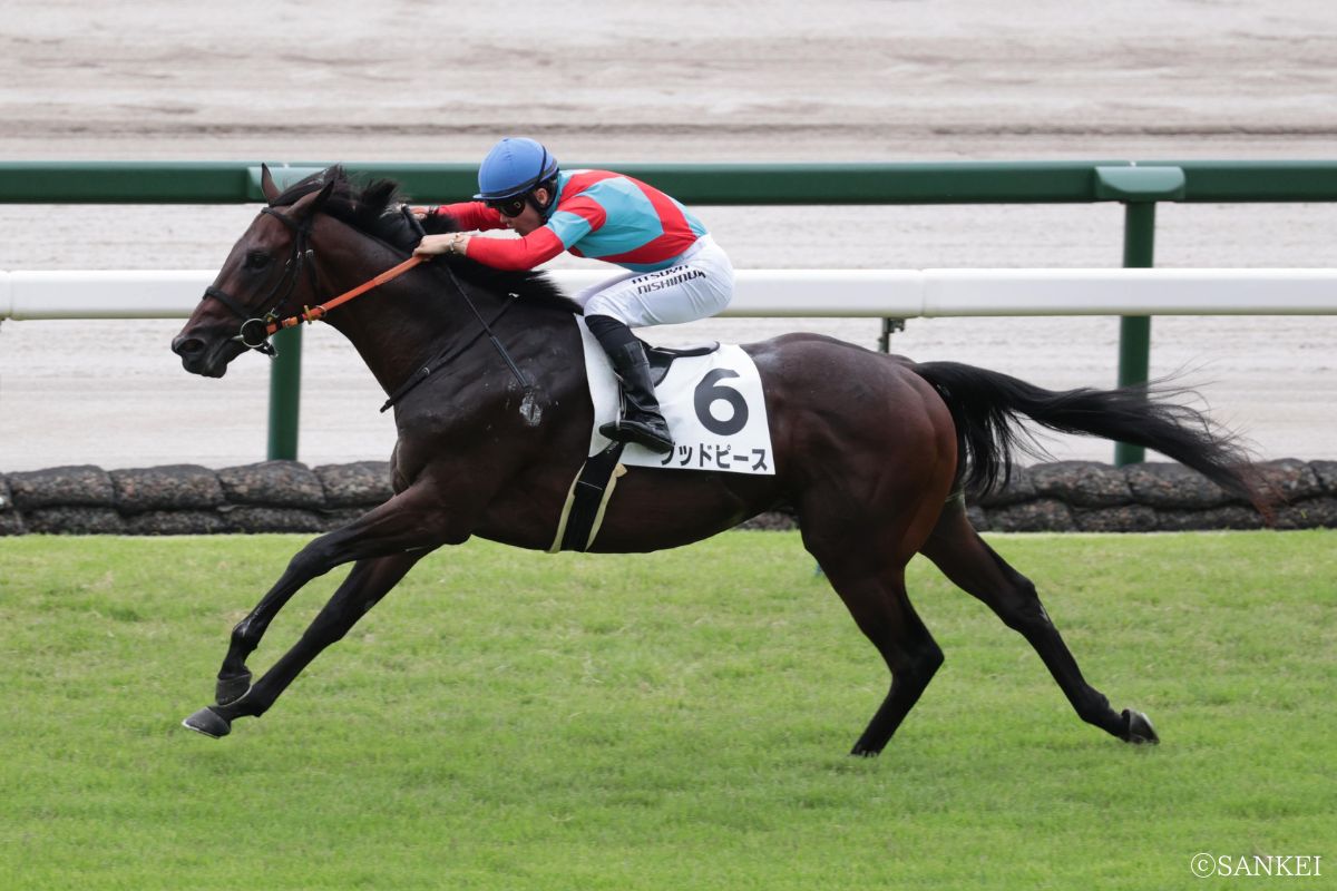 2025年9月20日新馬戦を制したグッドピース