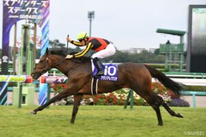 【GⅠトレンドハンター スプリンターズS】これがトレンド！近年の傾向に適している馬とは…？