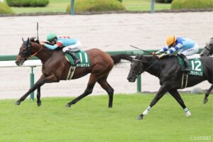 【次こそ買い時？激走パトロール隊】良血馬がようやく軌道に乗ってきた（チャレンジカップ）