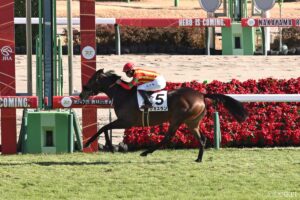 【小倉牝馬S 能力分析】元トラックマンが有力馬を10段階評価！最も総合点が高いのは…？