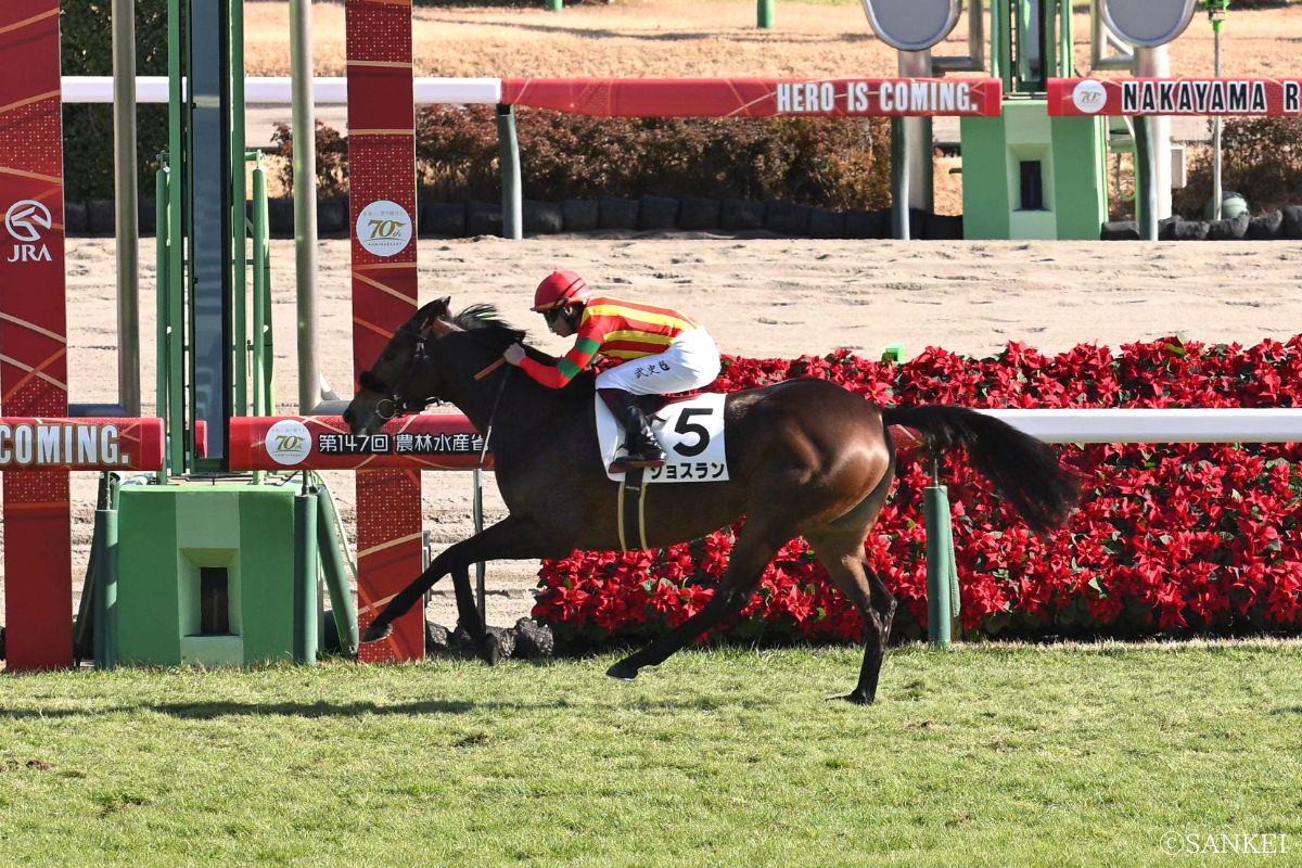 2024年12月21日新馬戦を勝ったジョスラン