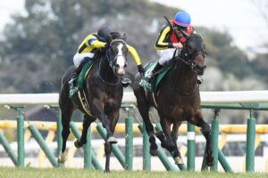 【登録馬】共同通信杯