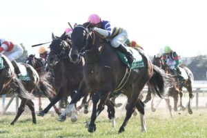 【出馬表】阪急杯