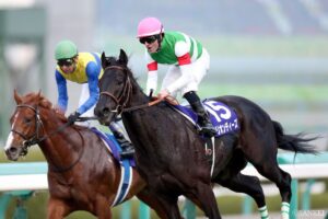 偉大なる王の血を未来へ…キングカメハメハ後継種牡馬（4）意外性の魅力…正統後継馬になる可能性も…