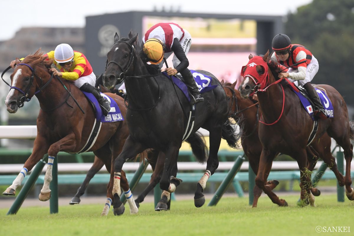 2024年スプリンターズSを制した時のルガル