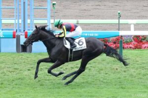 GIII 札幌2歳ステークスの傾向【過去の結果 – 1980年以降 ｜ 重賞データ 】