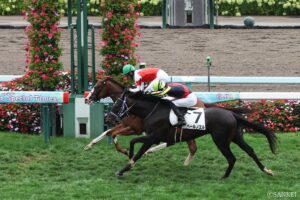 【次の激走馬を見逃すな！買い時パトロール隊】8月30,31日のレースから、3頭ピックアップ！