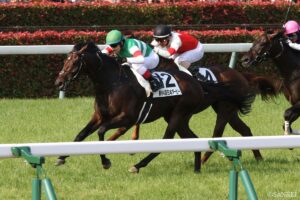 偉大なる王の血を未来へ…キングカメハメハ後継種牡馬（5）3年目にして評価がうなぎ上り！今後の活躍も期待大のダービー馬
