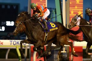 スペシャルウィーク産駒最強馬は？獲得賞金ランキング【第2位】見事な東京大賞典制覇！堅実さが売りのダート馬