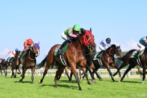 【熱闘レビュー 新潟記念】シランケド、またも上がり最速！重賞2勝目を挙げ秋の大舞台へ