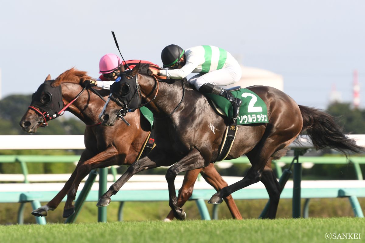 2023年京成杯AHを制した時のソウルラッシュ