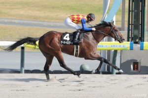 【シリウスS 調教診断】S評価は2頭！JRA重賞初挑戦のテーオーパスワードの評価は…？