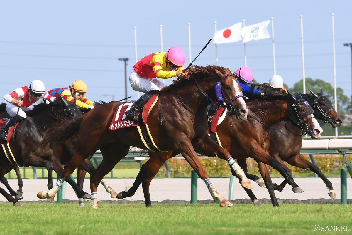 2024年産経賞セントウルSを制したトウシンマカオ