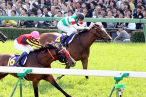 スペシャルウィーク産駒最強馬は？獲得賞金ランキング【第7位】良血馬としての期待を背負ったシルバーコレクター