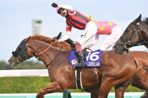 【敗戦の本質 スプリンターズS】1番人気サトノレーヴは、なぜ敗れたのか…？