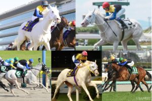 【シラユキヒメ一族5選】白毛馬を語るならこの血統！勢い止まらぬ華麗なる一族