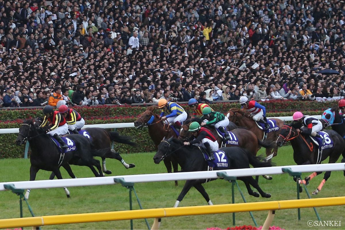 2012年天皇賞（秋）2着フェノーメノ（写真左）