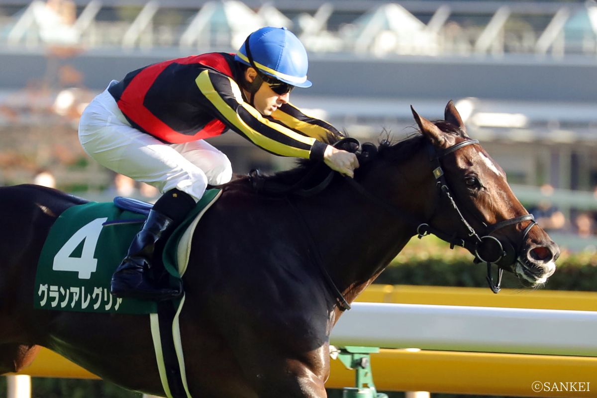 2018年サウジアラビアRCを制した時のグランアレグリア