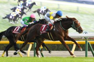 【出馬表】アルゼンチン共和国杯