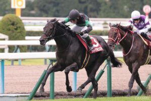 【京都大賞典2026・追い切り診断】最高評価“S”は1頭！ 連覇を狙うディープモンスターの仕上がりは？