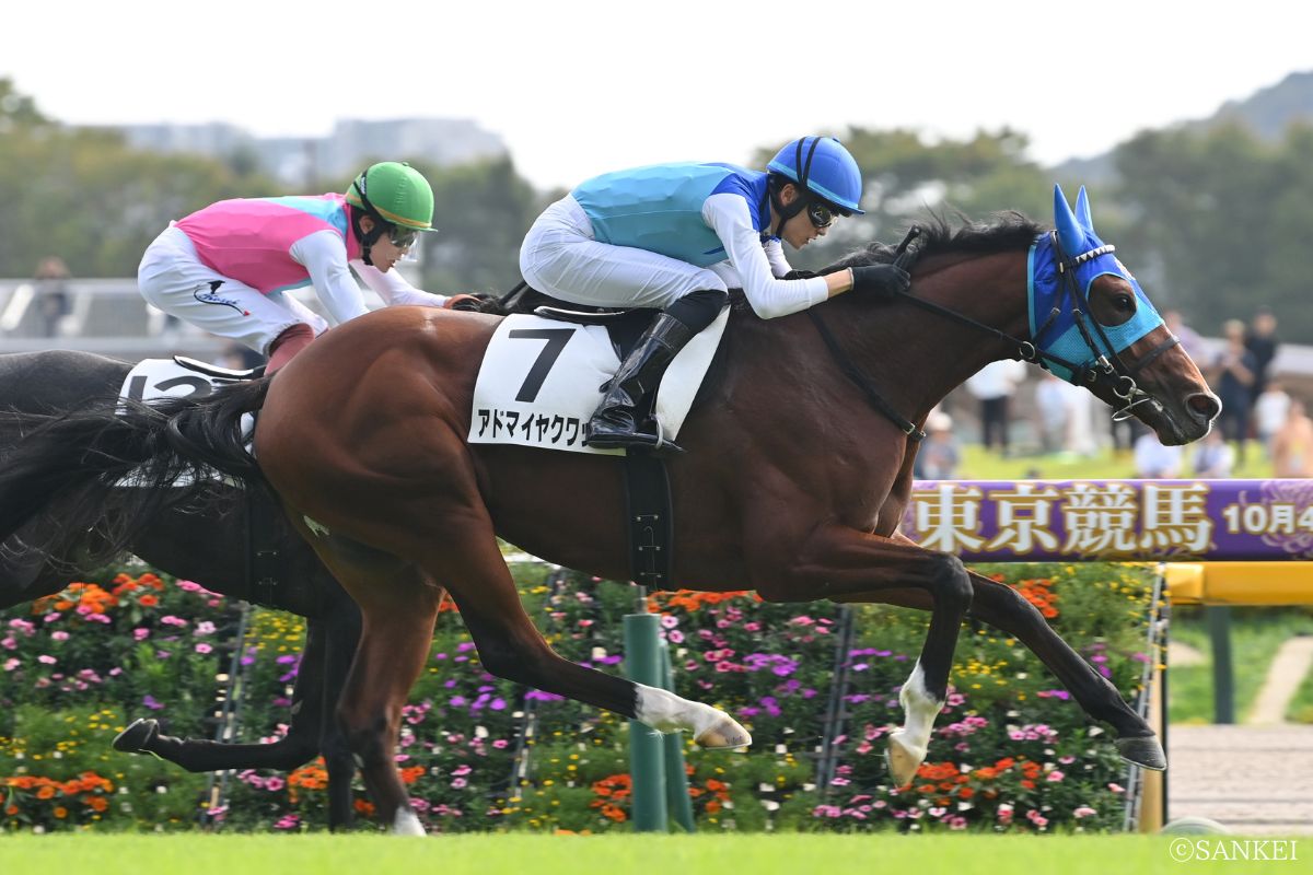 2025年10月18日2歳新馬/1着アドマイヤクワッズ