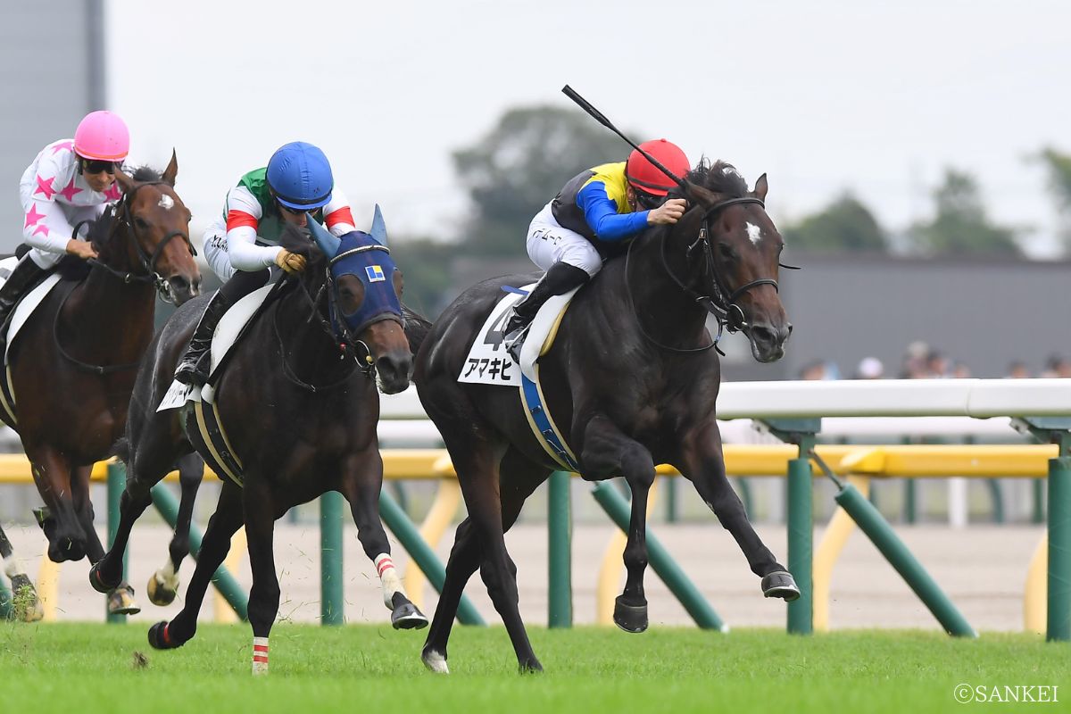 2024年10月27日東京・2歳新馬/1着アマキヒ