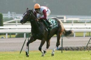 GⅢファンタジーステークスのデータ分析【レースレコード｜過去の結果 -1996年以降 】