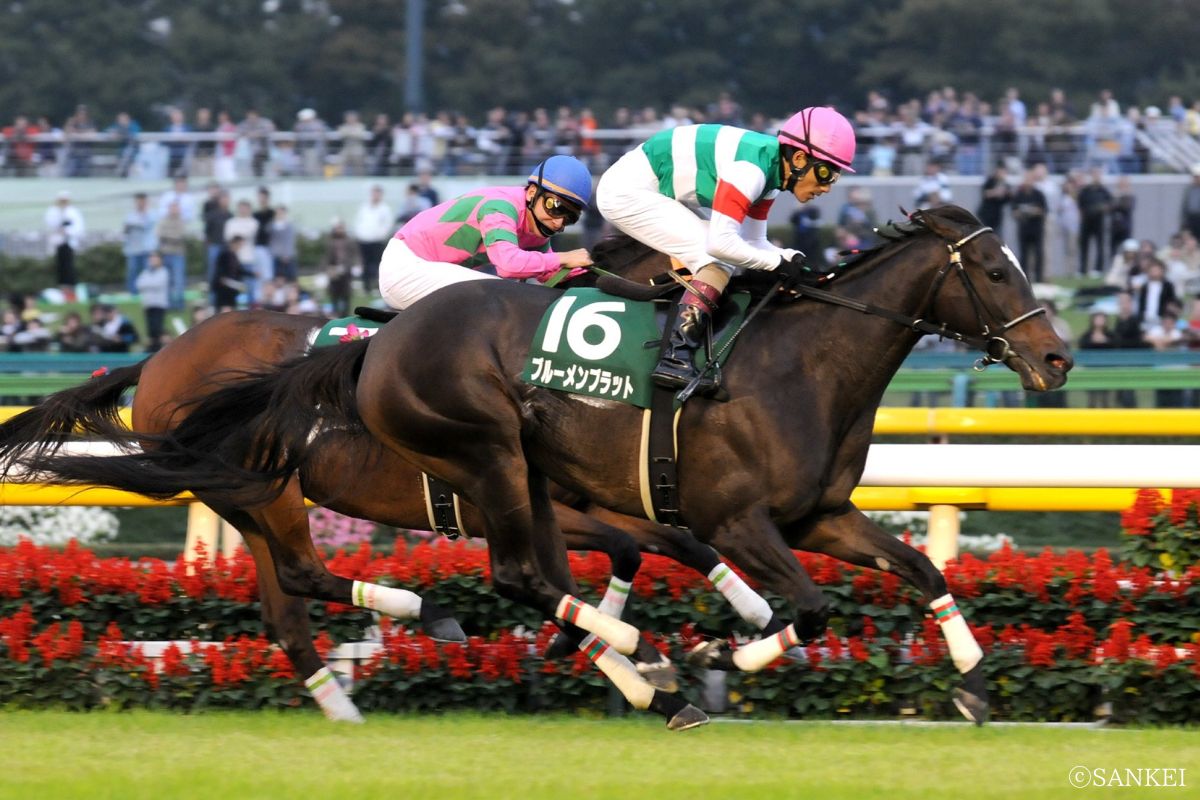 2008年府中牝馬Sを制したブルーメンブラット