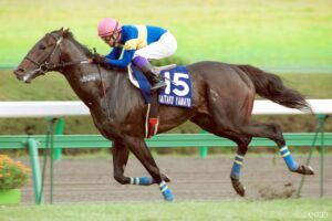 競馬に絶対は存在しない…G1単勝高配当ランキング（第3位）穴男ここにあり！大舞台の人気薄ほど気になる江田照男という男