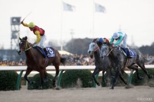 【有馬記念 単勝オッズが高かった激走馬ランキング】（第1位）これはびっくり大金星！日本中が湧いた波乱