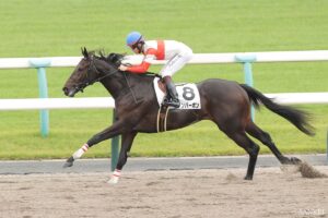 【東大流・次世代スター発掘】10馬身差勝ちダノンバーボンに★5　「高速馬場とはいえ1:51.9は当コースの2歳新馬歴代3位」