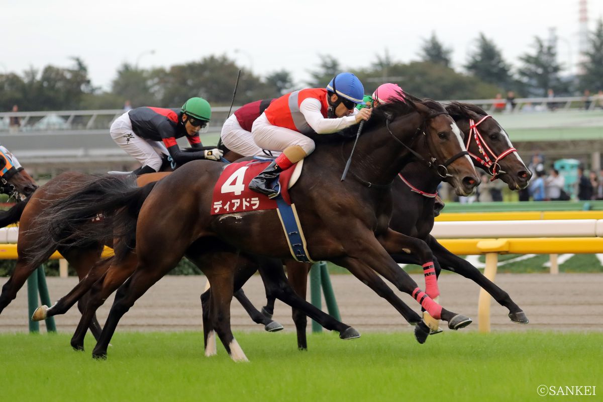 2018年府中牝馬Sを制したディアドラ