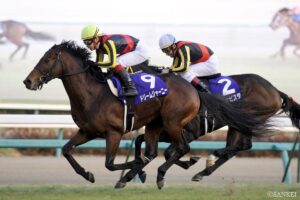 意外過ぎ…？クラシック無冠に終わった名馬（2）2歳王者がクラシックでは5着止まり…5歳で執念の大逆襲