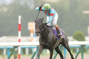 【敗戦の本質 菊花賞】ダービー3着・ショウヘイは、なぜ敗れたのか？「馬券圏外に敗れた時の共通点は…」