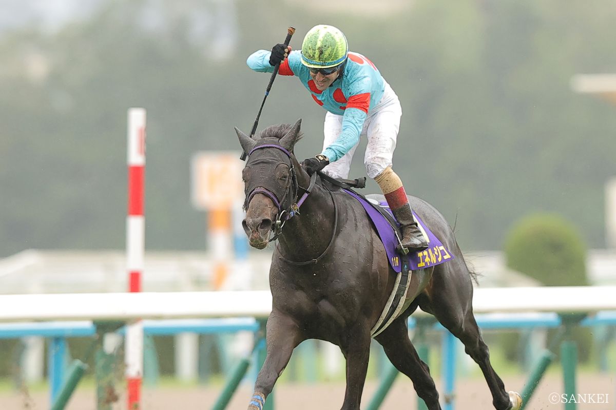 2025年菊花賞を制した時のエネルジコ